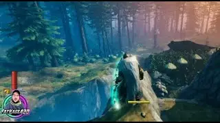 valheim cribs tricks, facts, and common sense!