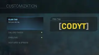 HOW TO GET A GOLD CLAN TAG ON MODERN WARFARE ( SUPER EASY! )