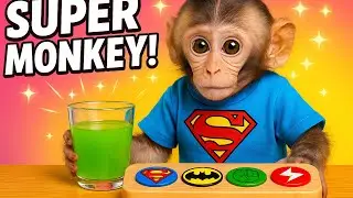 Beb&eacute; Mono BonBon limpia la casa y bebe leche dulce y colorida con el patito - MONOBONBON ESP
