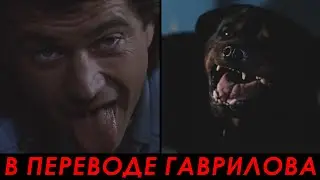 Как подружиться со злым Ротвейлером? &mdash; Смертельное оружие 3 (1992) Сцена из фильма 6/10