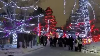 Calgary zoo lights ✨️ zoolights2022 #christmas #zoolights #calgaryzoo