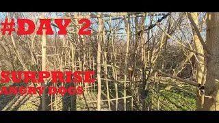 Building Survival Shelter In the Forest. (SURPRISE FROM ANGRY DOGS) #DAY 2.