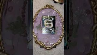 Real Snake Skeleton Unboxing