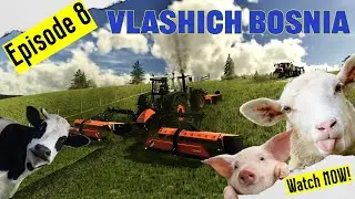 We Are Back & Expanding The Farm!! | Episode 8 | Vlashich, Bosnia!!