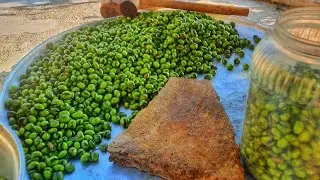 موسم حصاد وكبس الزيتون الأخضر على الطريقة الكردية العفرينية 🫒 Green olive season