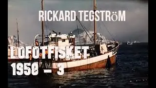 Lofotfisket - 1958 (3).