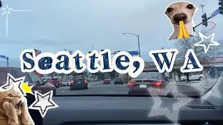 Trip to Seattle!! (nephew babysitting)