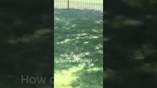 Sprinkler adjustments in Frisco, Tx |Whale Done Sprinklers
