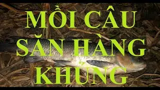 Mồi c&acirc;u c&aacute; giang truong Fishing c&acirc;u tự nhi&ecirc;n buổi thứ 9 va h&agrave;ng khủng