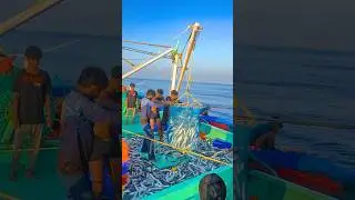 &ldquo;Massive Catching In Sea!!!