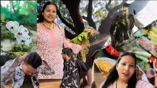 National park 🏞 😍 ❤️ 🐒🦁🦌🦅🪴🌲🐍#nationalpark #vlog #yt #viral #trip 