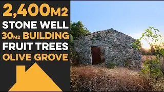 Real Ambient Sound | 2,400m² Rustic Land - 30m2 Granite Ruin, Olive Grove – Castelo Branco, PT