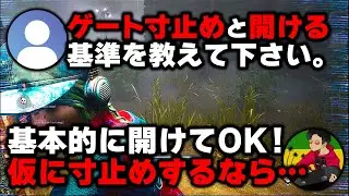 ゲートを開けるor寸止めする基準はこれで解決！【らすたまお切り抜き】