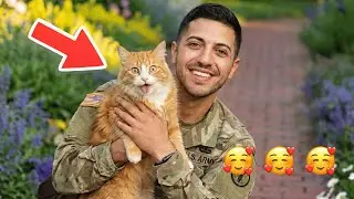 🥰🥰🥰 After So Many Years Apart, Soldier Dad Returns — His Cat’s Love Says It All