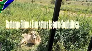 🇿🇦 #Bothongo Rhino & Lion Nature Reserve  South Africa