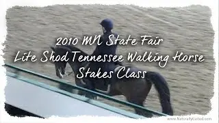 2010 MN State Fair Lite Shod Tennessee Walking Horse Stakes Class