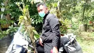 H-2 bw,mk,oc,st meluncur ke Setu BEKASI