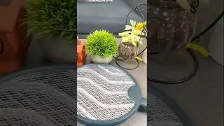 DIY Mosquito Trap - No More Bites! 😱 #Viral
