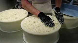 Charente-Maritime : La Vache Charentaise fabrique ses fromages &agrave; Breuil-La-R&eacute;orte