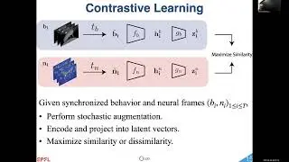 2nd Workshop on CV4Animals   Computer Vision for Animal Behavior Tracking and Modeling