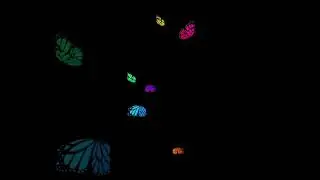 butterfly  beautiful Black screen #shots #blackscreen  #blackscreenstatus