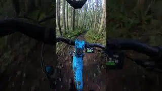 Sun in January! #mtb #pnw   #mountainbiking #gopro