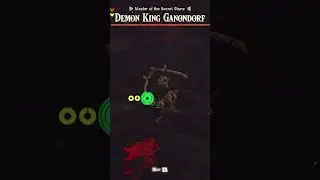 Too scared to fight Ganon. So, I did this. 😅😭✌🏻 #totk #highlights #zelda #tearsofthekingdom