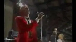 The Flyin' Spiderz  - Colours