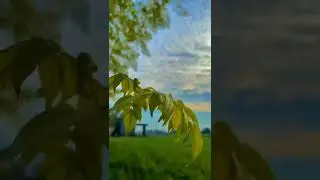 agriculture neutral theme ||heart touching short | #short