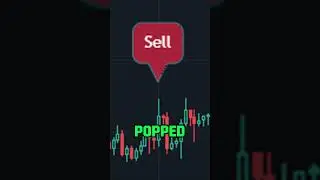 6,000 EVERYDAY using Endless Ai's Pirvate indicator. #crypto #bitcoin #forex #tradingview #trading