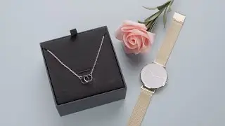 Review d&acirc;y chuyền Daniel Wellington DW00400167 d&acirc;y chuyền được phối tone m&agrave;u bạc.