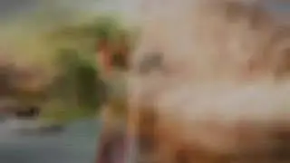 Bamroli king