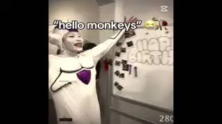 hello monkeys🥀