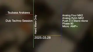 Dub Techno Jam Session Analog Four MK2 Analog Rytm MK2 Push 3 Stand Alone Phase 90 Micro Amp+