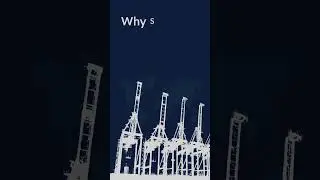 Ghost Ports or Global Panic?