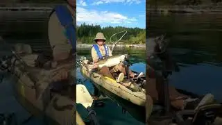 Kayak fishing for Salmon