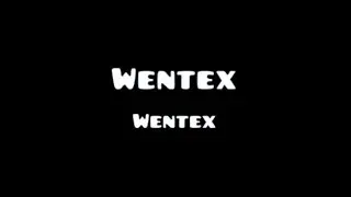 Wentex