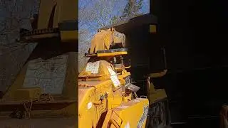 Bandit 15xp chipping a whole pine tree