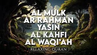 Surah Al Mulk, Ayat Kursi,  Ar Rahman, Yasin, Al Waqiah, Beautiful Calming Voice - AHMAD AL SHALABI