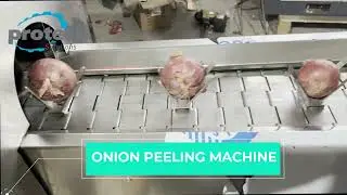 Protech Solutions Newest 2026 Onion Peeling Machine