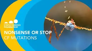 CF Foundation | Nonsense or Stop Cystic Fibrosis Mutations