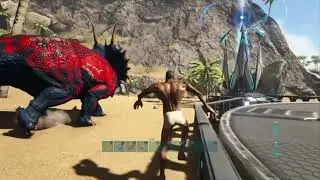 ark but I started beef with a shark
