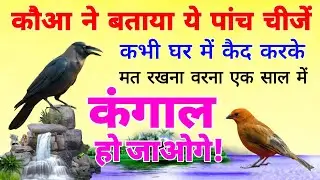 कौआ ने बताया ये पांच चीजें कभी घर में कैद करके मत रखना, वरना एक ही साल में कंगाल हो जाओगे!