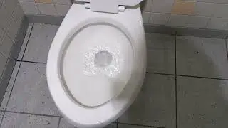 2001 American standard Canadian Cadet toilet on flushometer!