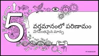 Grade 12 Biology - Ch06: Evolution | CBSE NCERT | NotebookLM Audio