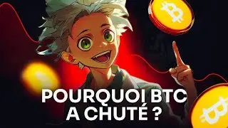 Chute du Bitcoin : Que s'est-il pass&eacute; et o&ugrave; allons-nous ? - L'analyse on-chain de Prof Cha&icirc;ne