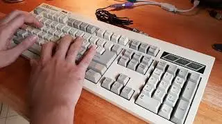 NTC KB-6251EA Typing Test | Alps SKCM White