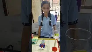 Science exhibition - 2025 at PPS organised by Rahul Mishra