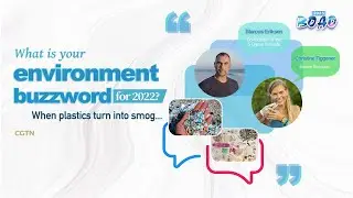 Environment Buzzword 2022: When plastics turn into smog...
