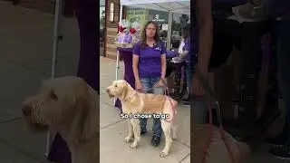 One Dog Started It All: A Pet Store Owner&rsquo;s Mission to Support Wellness with CBD & Mushrooms